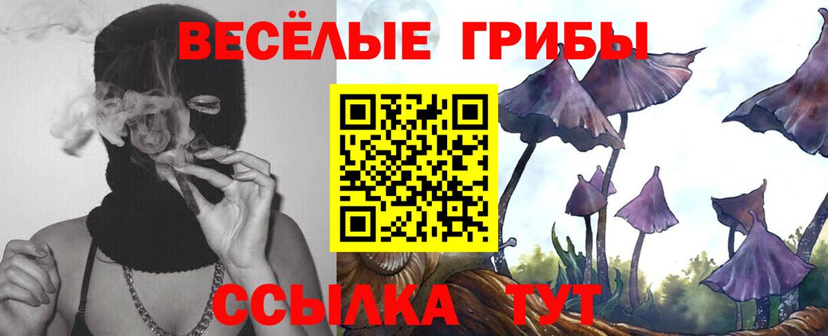 Псилоцибиновые грибы Cubensis Богородицк